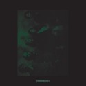 Tamer Animals/Otherside Vinilo 12''